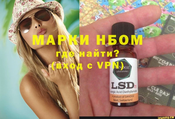 стафф Алзамай