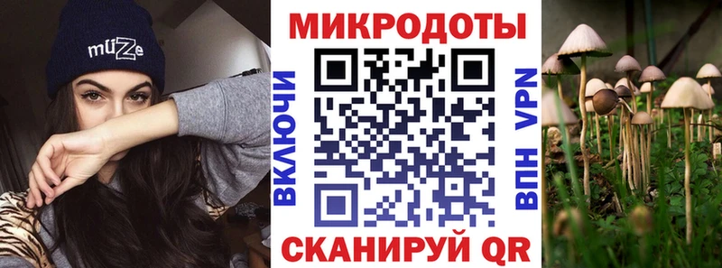 блэк спрут сайт  Россошь  Псилоцибиновые грибы GOLDEN TEACHER  купить закладку 