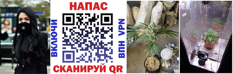 МАРИХУАНА White Widow  Россошь 